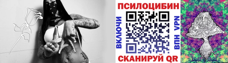 Псилоцибиновые грибы MAGIC MUSHROOMS  Павлово 